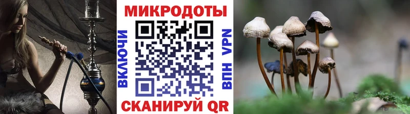 Псилоцибиновые грибы мухоморы  Купить закладки  Балашов 